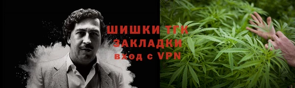 твердый Абаза