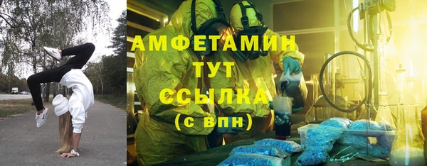 твердый Абаза