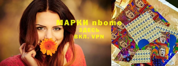 твердый Абаза