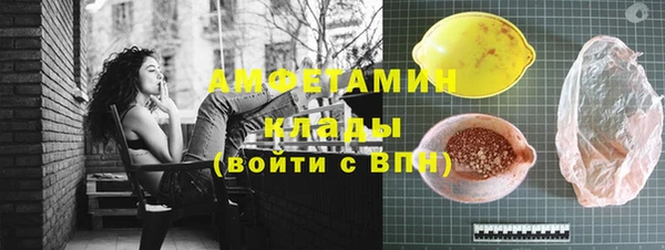 твердый Абаза