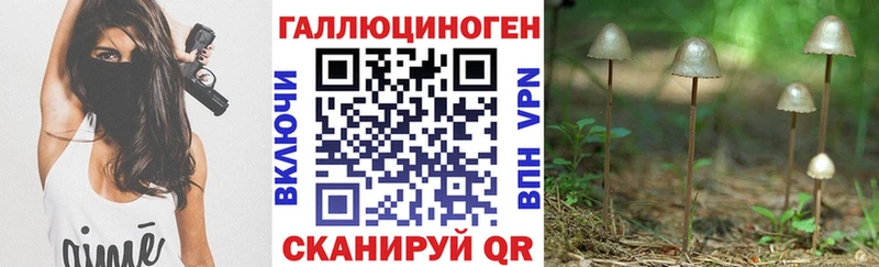 Псилоцибиновые грибы Psilocybine cubensis  это формула  Инза  blacksprut  